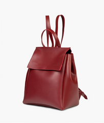 Maroon Women Leather Backpacks 557